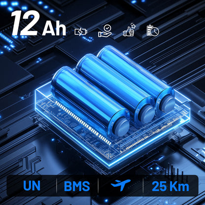 ByteTecpeak D24 Elektrorollstuhl – 500W, 12Ah Akku, 25 km Reichweite, 150 kg
