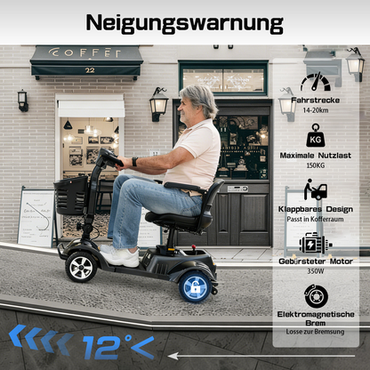 ByteTecpeak Z02 Scooter elettrico per anziani, pieghevole, batteria 12 Ah, autonomia 20 km